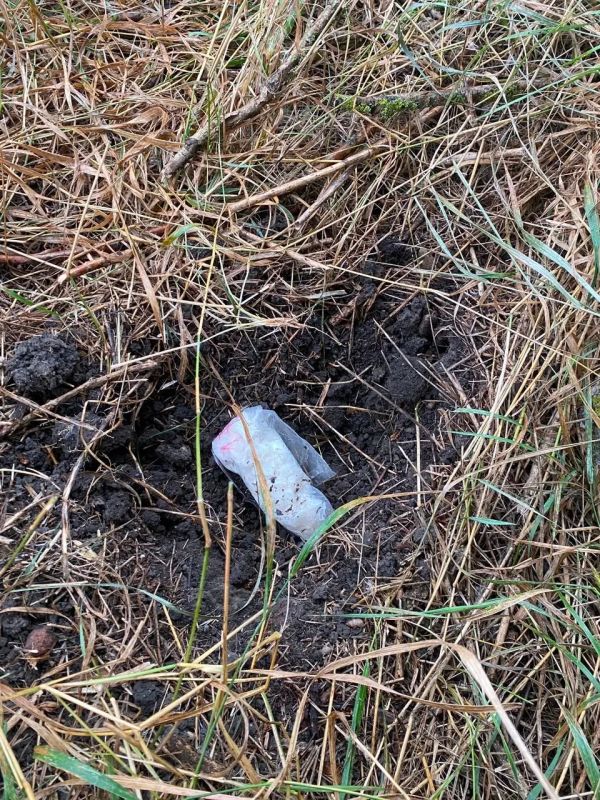 В КБР ПОЛИЦИЯ С ПОМОЩЬЮ МОБИЛЬНОГО ДОСМОТРОВОГО КОМПЛЕКСА НАШЛА 2 КГ МЕФЕДРОНА В АВТО НАРКОКУРЬЕРА В КБР ПОЛИЦИЯ С ПОМОЩЬЮ МОБИЛЬНОГО ДОСМОТРОВОГО КОМПЛЕКСА НАШЛА 2 КГ МЕФЕДРОНА В АВТО НАРКОКУРЬЕРА