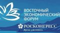 Реализация Стратегии развития Дальнего Востока стала одной из ключевых тем ВЭФ–2026