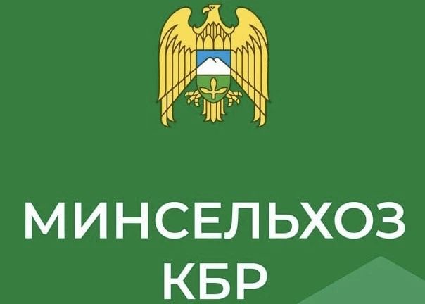 В Кабардино-Балкарии под озимый сев планируют отвести порядка 60 тысяч гектаров