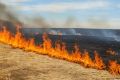 Напоминаем аграриям о необходимости соблюдения мер пожарной безопасности и недопустимости утилизации стерни, пожнивных остатков и сухой травянистой растительности путем сжигания, так как это может привести к возникновению...