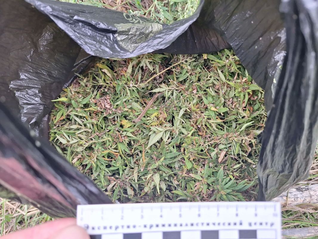 В БАКСАНСКОМ РАЙОНЕ ПОЛИЦЕЙСКИМИ ИЗЪЯТО ПОРЯДКА 1,5 КИЛОГРАММА НАРКОТИКОВ