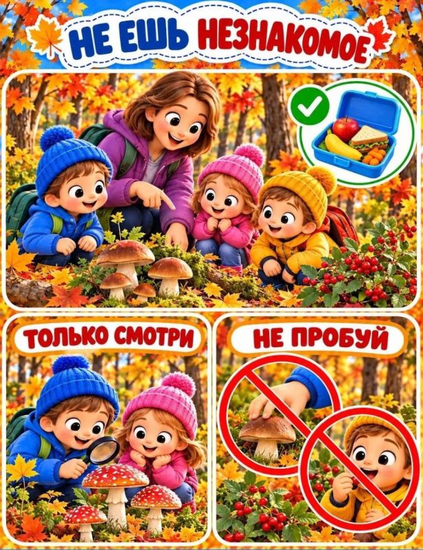 Осенние прогулки без сюрпризов: как научить ребенка безопасности, играя? Осенние прогулки без сюрпризов: как научить ребенка безопасности, играя?