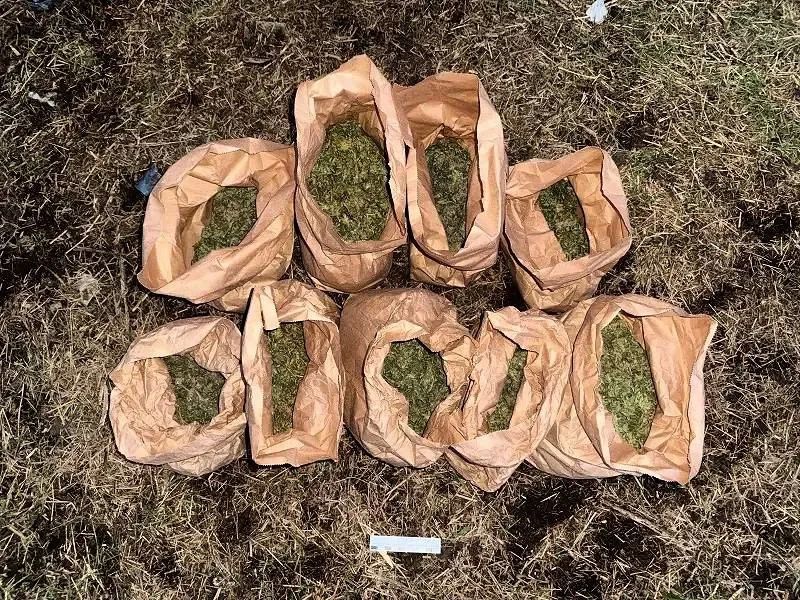 Более полутора килограммов марихуаны изъяли у 45-летнего жителя с. Верхний Акбаш в Терском районе