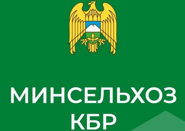 В четырех регионах СКФО проверили качество нового урожая пшеницы