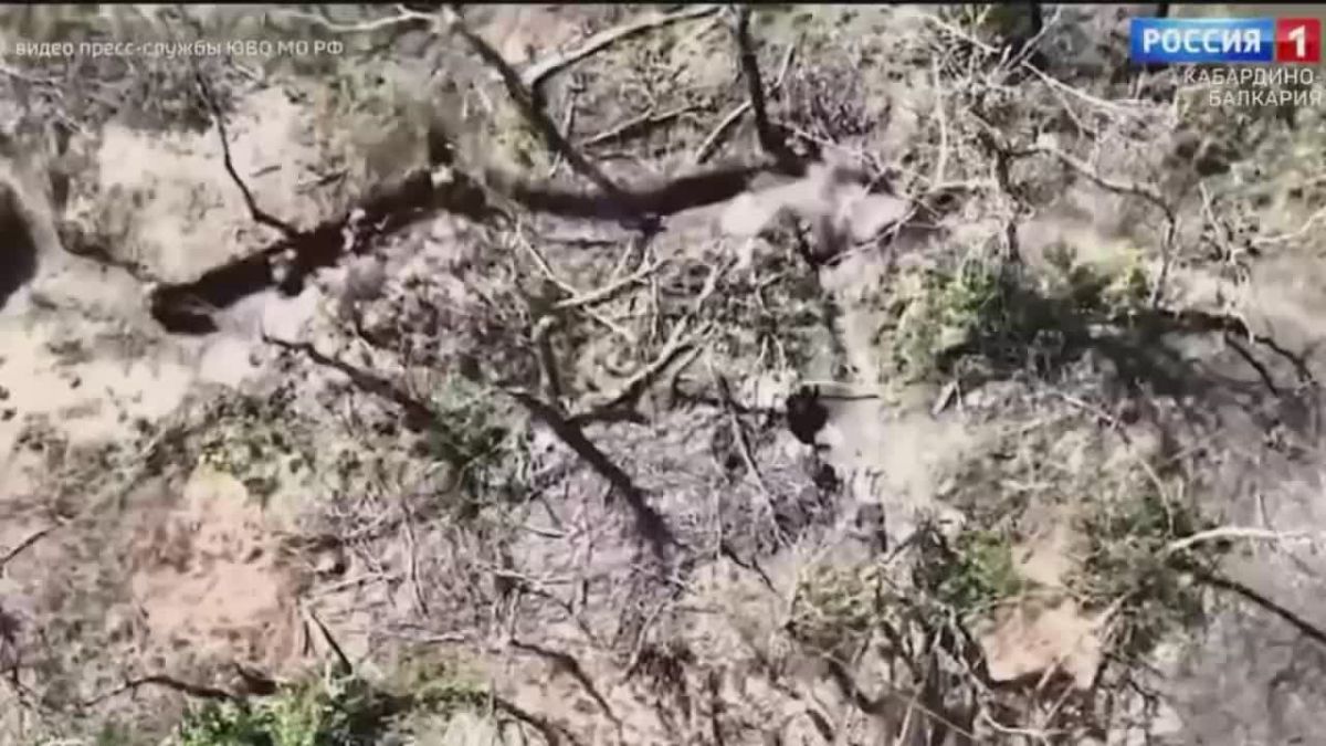 Минобороны опубликовало видео, как подразделения беспилотных систем 58-й гвардейской общевойсковой армии из состава группировки «Днепр» поразили сразу несколько опорных пунктов ВСУ