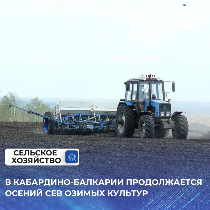 В Кабардино-Балкарии продолжается сев озимых культур