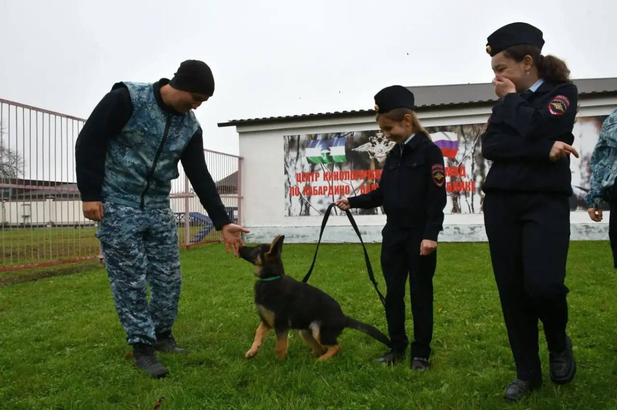 В ДНИ ШКОЛЬНЫХ КАНИКУЛ КАДЕТЫ ПОЛИЦИИ ПОСЕТИЛИ ЦЕНТР КИНОЛОГИЧЕСКОЙ СЛУЖБЫ МВД ПО КБР В ДНИ ШКОЛЬНЫХ КАНИКУЛ КАДЕТЫ ПОЛИЦИИ ПОСЕТИЛИ ЦЕНТР КИНОЛОГИЧЕСКОЙ СЛУЖБЫ МВД ПО КБР